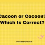 Cacoon or Cocoon
