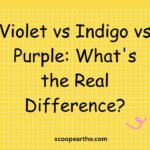 Violet vs Indigo vs Purple