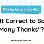 Is It Correct to Say “Many Thanks”