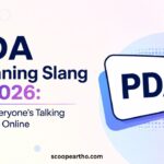 PDA Meaning Slang
