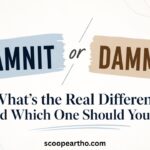 Where DamDamnit or Dammit What's the Real Difference and Which One Should You Usen It Comes From
