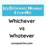 Whichever vs Whatever