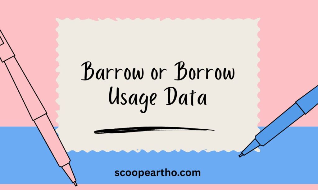 Barrow or Borrow Usage Data