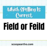 Field or Feild Which Spelling Is Correct