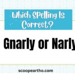 Gnarly or Narly Meaning, Difference & Correct Spelling Explained