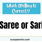 Saree or Sari