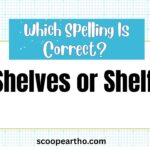 Shelves or Shelfs Which Spelling Is Correct Easy Grammar Guide
