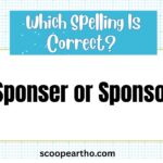 Sponser or Sponsor