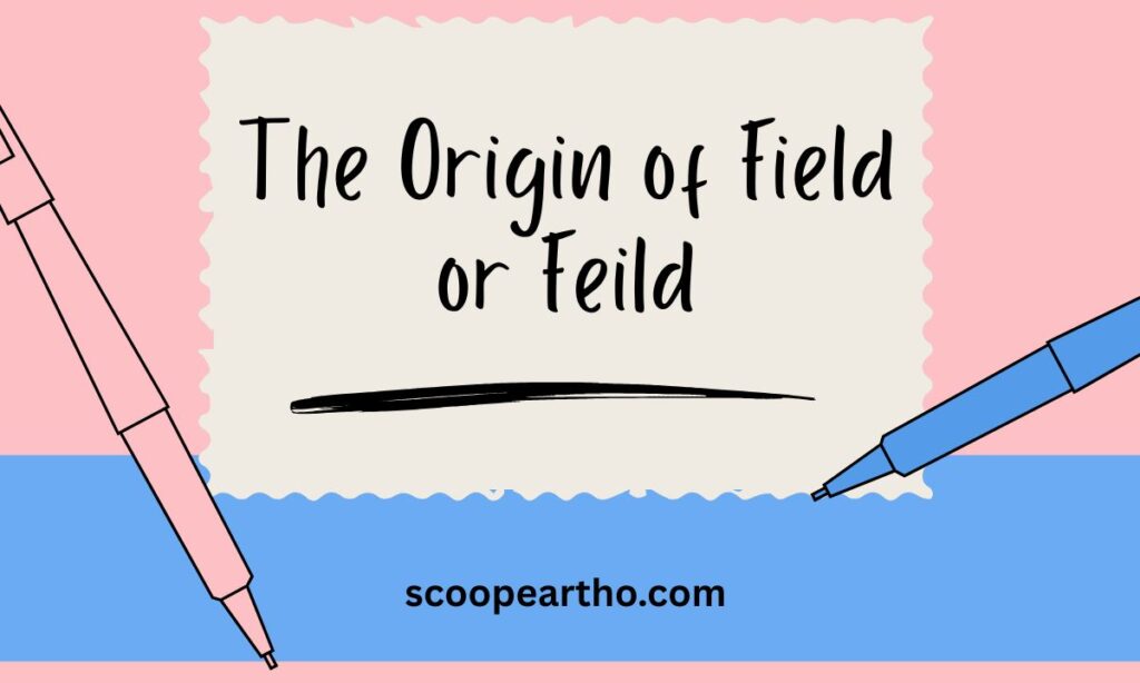 The Origin of Field or Feild