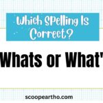 Whats or What's Which Is Correct Grammar Rules Explained