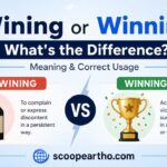 Wining or Winning What's the Difference Meaning & Correct Usage