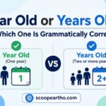 Year Old or Years Old Which One Is Grammatically Correct