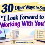 30 Other Ways to Say I Look Forward to Working With You 