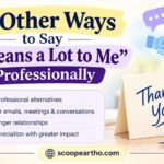 30 Other Ways to Say It Means a Lot to Me Professionally