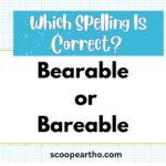 Bearable or Bareable